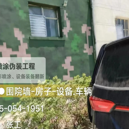 黔西南数码迷彩漆施工